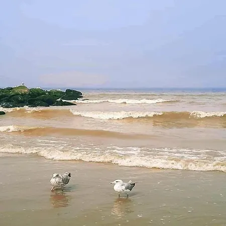 In Near The Beach, Cleaning Included Apartment *